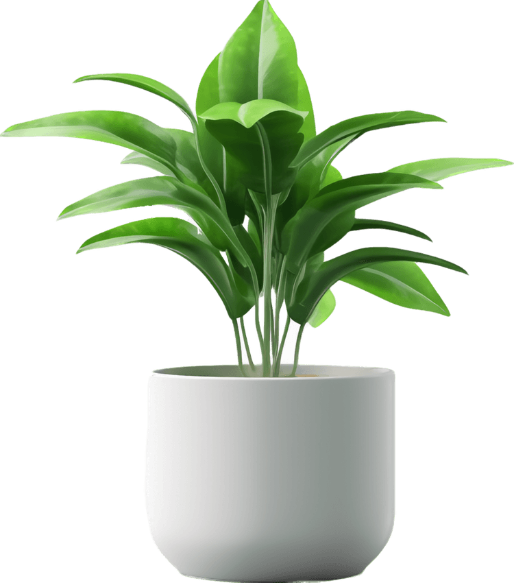 Nice Plant